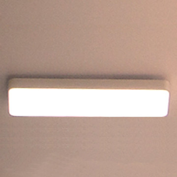 6500lm 1200mm X 300mm Led Panel Led Rectangular 120 X 30 Customized